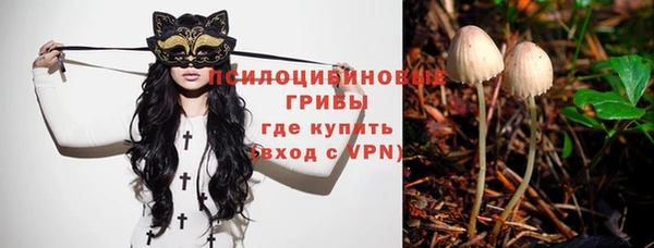 прущие крисы Медвежьегорск