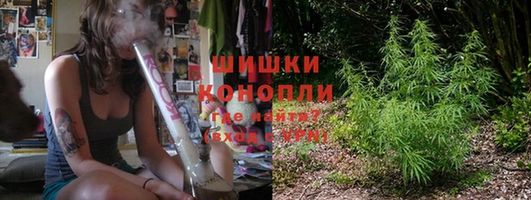 прущие крисы Медвежьегорск
