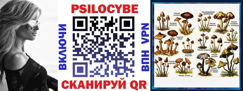 hydra   наркота  Краснодар  Псилоцибиновые грибы Psilocybine cubensis 